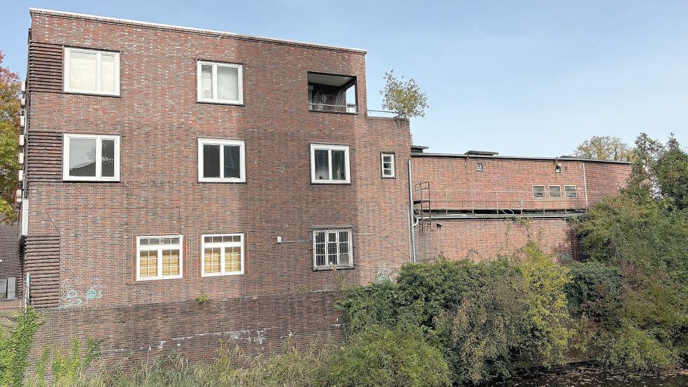 Kaputte Fensterscheiben, Graffiti und ein Baum, der auf dem Flachdach wächst: der Anblick von der Wasserseite. Foto: Schuurman