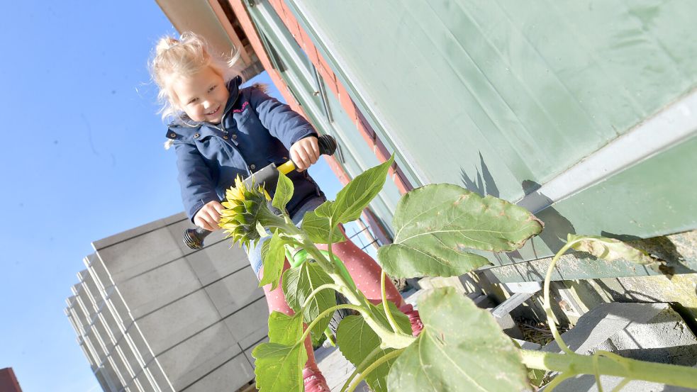 Tochter Luise ist mit ihrem Roller auf dem Hof unterwegs. Foto: Ortgies