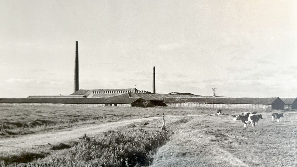 Blick von Pilsum auf die Ziegelei. Hier kann man gut erkennen, wie groß das Gelände und die Ziegelei selbst waren. Dieses Foto ist in den 1950er-Jahren entstanden. Foto: Privat