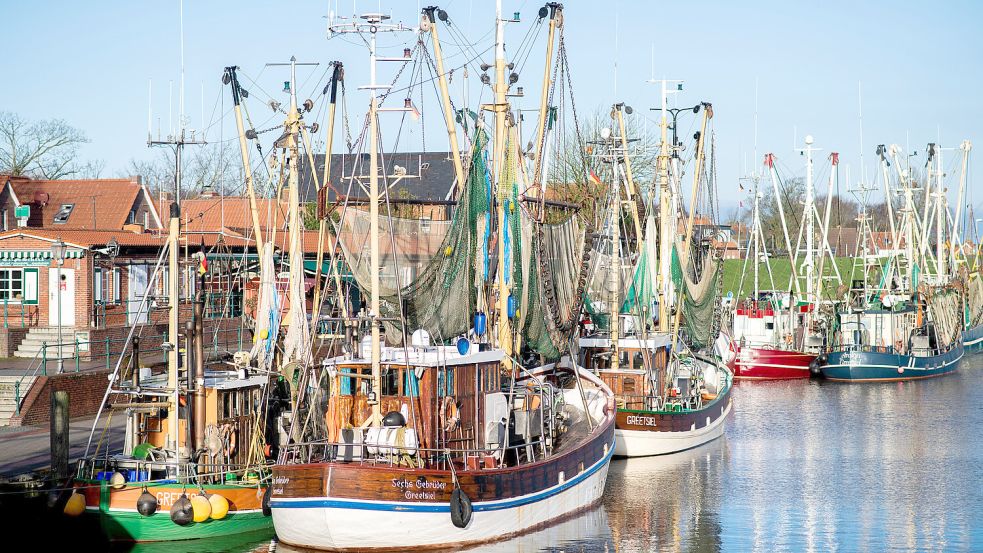 Noch sind die Kutter – hier im Hafen von Greetsiel – so, wie wir sie kennen. Foto: Dittrich/dpa-Archiv