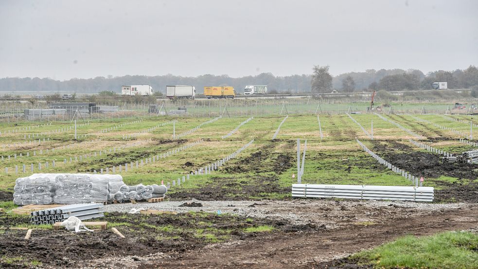 Die Baufirma hat Tausende Gründungspfosten gesetzt. Foto: Ortgies