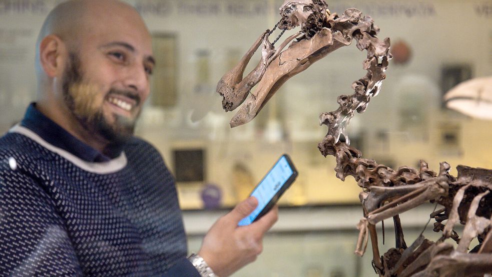 Im Zoologischen Museum der Universität Cambridge werden im Rahmen eines KI-Projektes Gespräche mit ausgestorbenen Tieren ermöglicht. Foto: IMAGO/Chris Radburn