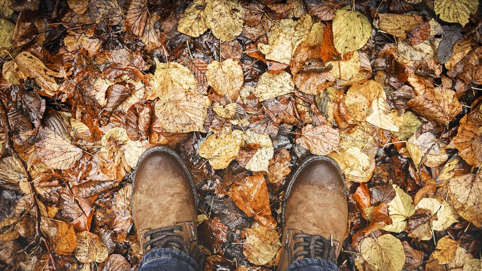 Regen und schlechtes Wetter gehören zum Herbst dazu, wie die nassen Schuhe - aber wie werden sie am besten wieder trocken. Foto: IMAGO/Christian Ohde