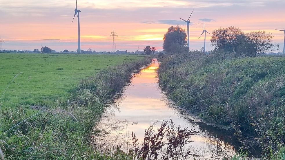 Wer besondere Bilder aus dem Landkreis Leer hat, kann sie einreichen. Foto: Bothe
