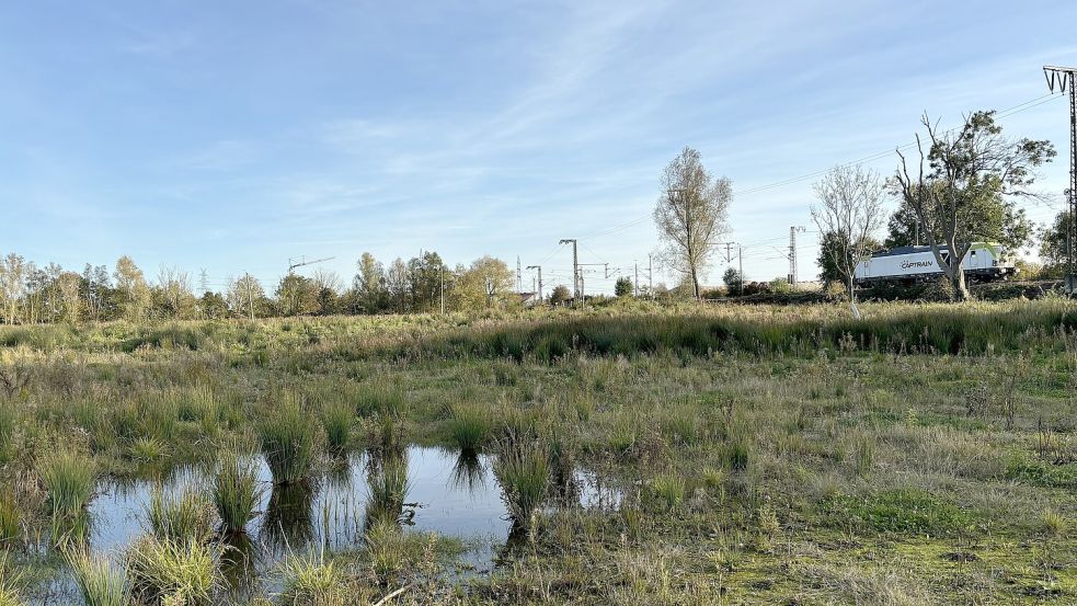 Eingerahmt zwischen Bahn und Borssumer Kanal: das geplante Gewerbegebiet am Buschplatz. Foto: Schuurman/Archiv