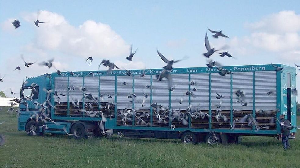 Mit Speziallastern werden die Brieftauben zu den Auflassorten gefahren. Foto: privat