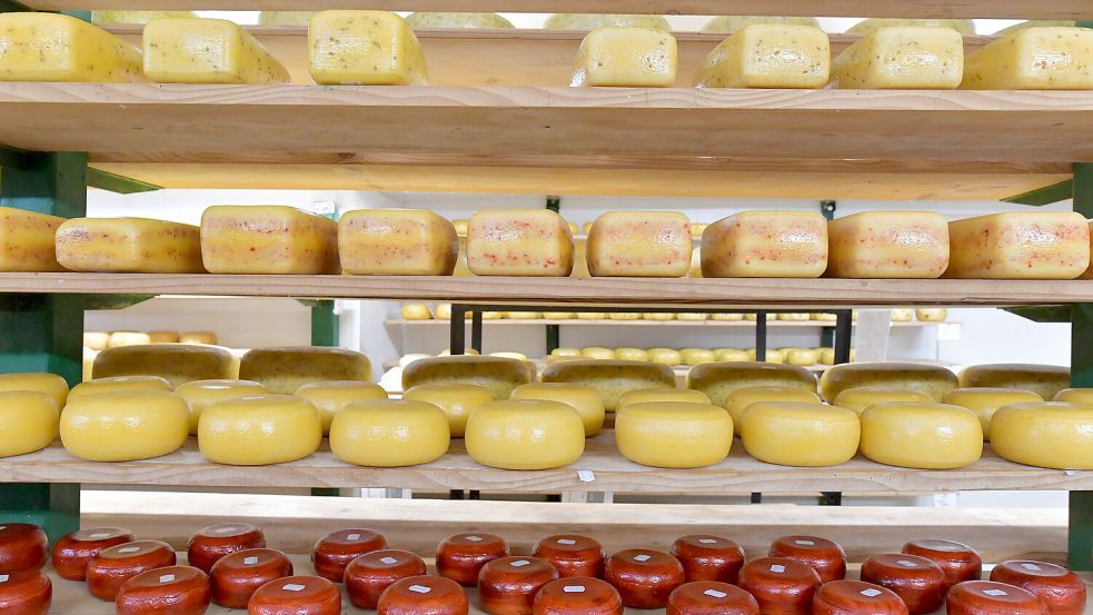 Auf dem Käsehof von Familie Berkhout gibt es viele verschiedene Kuh- und Ziegenkäse-Sorten. Foto: Ortgies