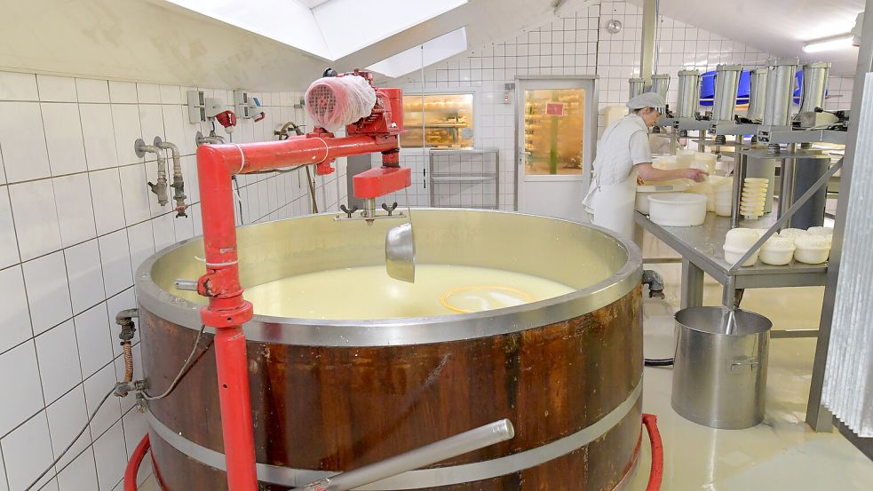 Der Produktionsraum auf dem Käsehof. Hier darf man nur mit spezieller Kleidung hinein. Foto: Ortgies