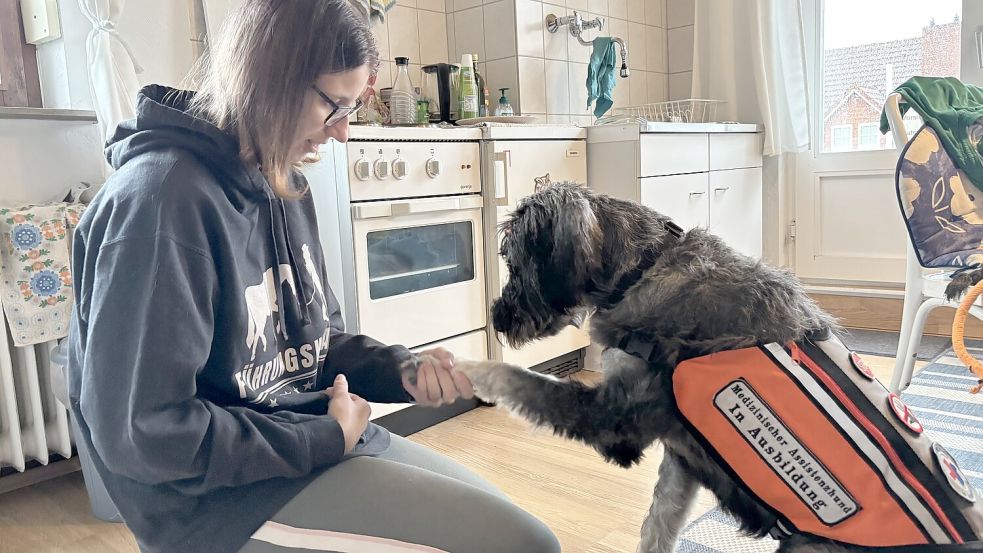 Die fast zweijährige Hündin hat Freude am Üben von Tricks.