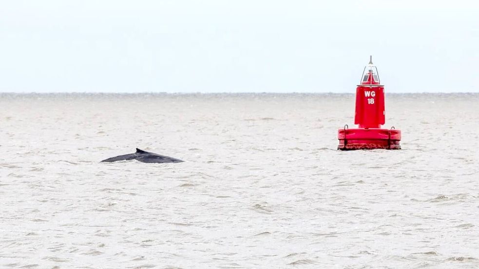 Foto: Ronald/Dagblad van het Noorden