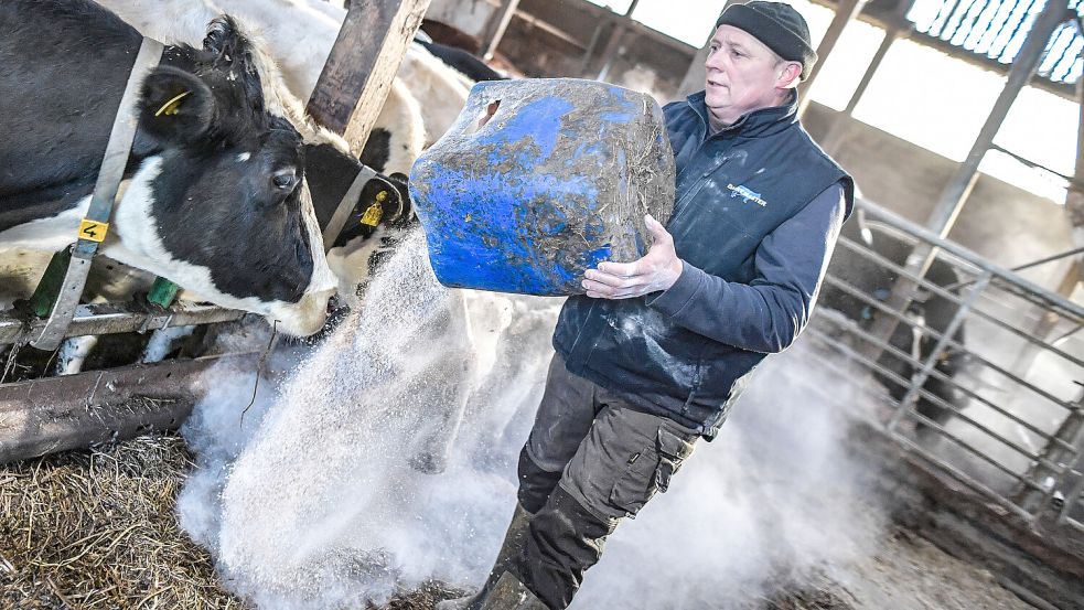 Peter Habbena kennt jede seiner 48 Milchkühe beim Namen. Foto: Ortgies