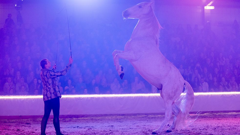 Am Samstag kamen die 4000 Pferdesportbegeisterte und Unterhaltungssuchende beim „Galaabend der Pferde“ in der Leeraner Ostfrieslandhalle auf ihre Kosten. Foto: Gleich