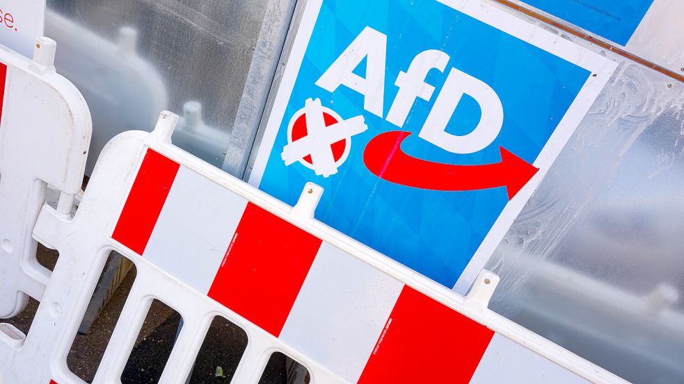 Wahlplakat an einer Baustelle: Die AfD hat eine weitere Millionenspende erhalten. Foto: IMAGO/Rolf Poss