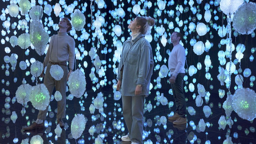 Verloren im Märchenwald der Lichtkunst: Pipilotti Rist: Pixelwald Wisera. 2025. Kunsthalle Bremen - Der Kunstverein in Bremen. Copyright: Courtesy the Artist, Hauser & Wirth, and Luhring Augustine, VG Bild-Kunst, Bonn 2025. Foto: Tobias Hübel