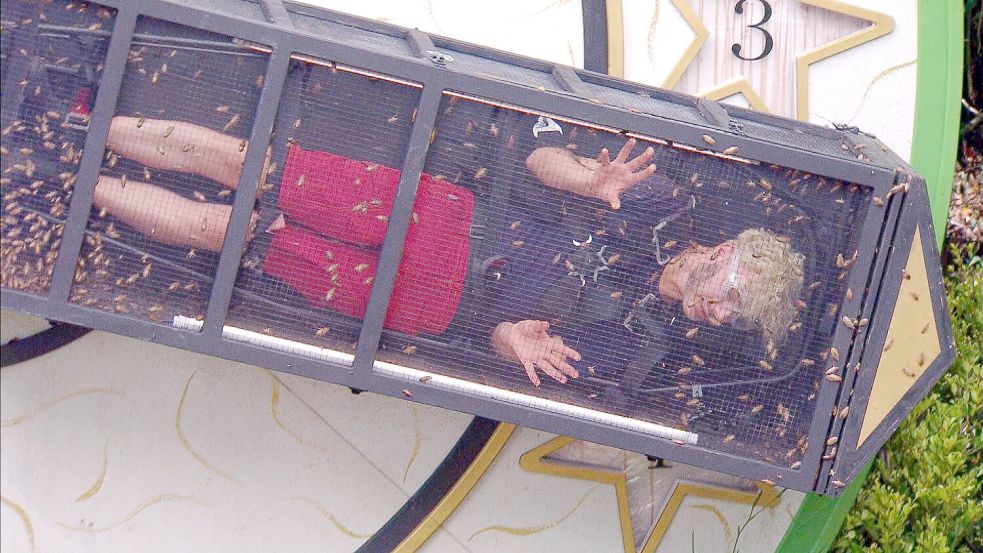 Sam Dylan tritt zur Dschungelprüfung an und muss dabei seinen Käfig mit Kakerlaken, grünen Ameisen und Mehlwürmern teilen. Foto: dpa/RTL