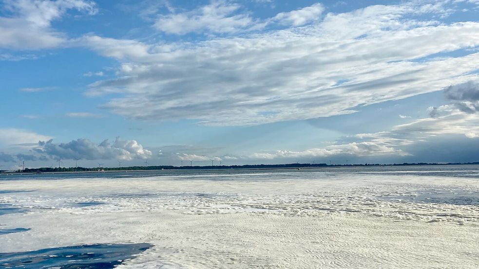 Meeresschaum auf der Nordsee: Er ist angereichert mit schädlichen Chemikalien. Foto: Hanz