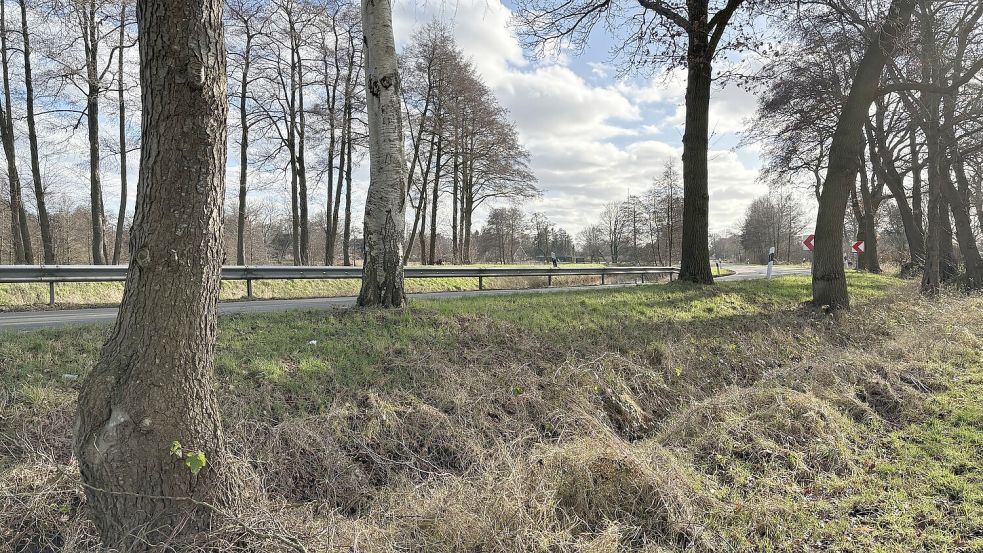 In diesem Bereich der Langholter Straße verunglückte am 25. Januar 2025 ein Motorradfahrer. Ersthelfer reagierten schnell. Foto: Kruse