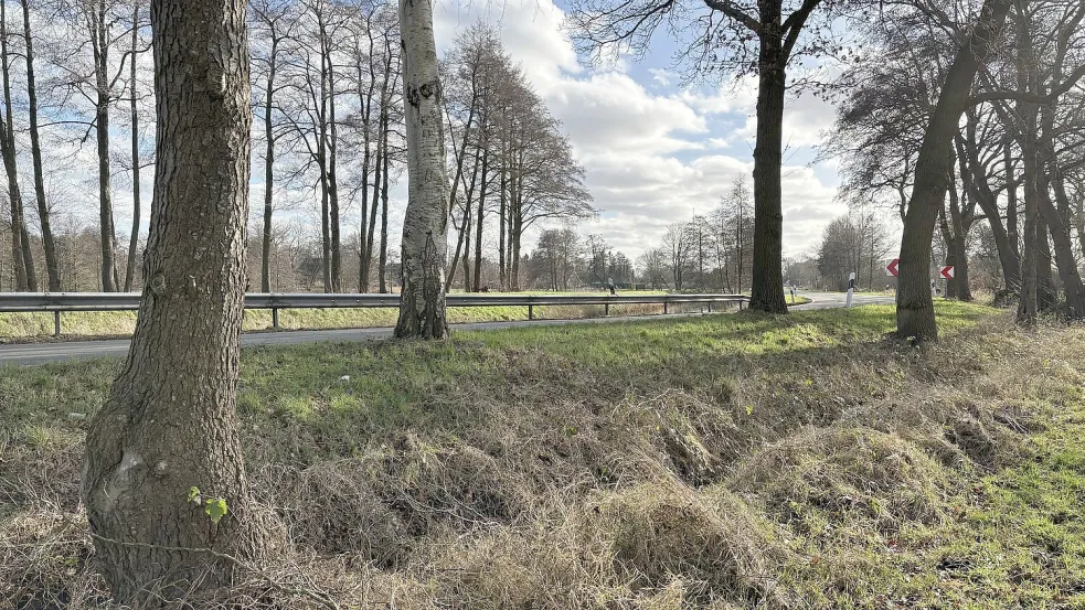 In diesem Bereich der Langholter Straße verunglückte am 25. Januar 2025 ein Motorradfahrer. Ersthelfer reagierten schnell. Foto: Kruse
