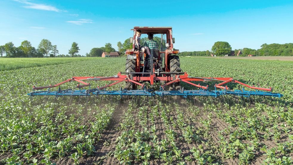 Ökologischer Anbau steigt trotz allen Herausforderungen weiter an in Niedersachsen. Foto: IMAGO/blickwinkel