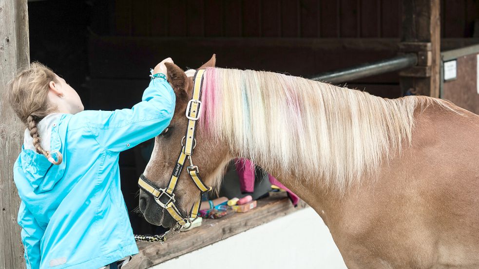 Vor allem Mädchen lieben das Reiten. Eltern sollten bei der Auswahl des Reitstalls aufmerksam sein. Foto: IMAGO images/Funke Foto Services/ VolkerxSpeckenwirth