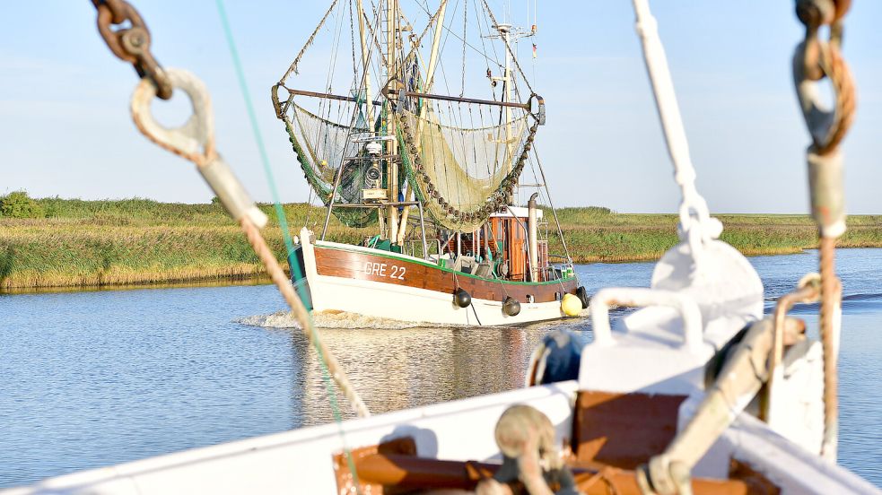 Die Krabbenfischerei hat in Küstenorten wie Greetsiel nicht nur eine große wirtschaftliche, sondern auch eine kulturelle Bedeutung. Foto: Wagenaar/Archiv