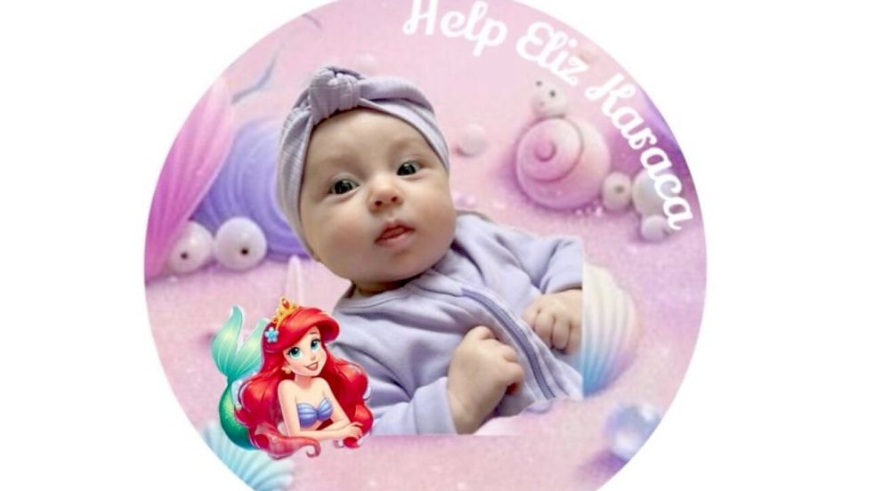 „Help Eliz Karaca“ steht auf diesem gestalteten Bild, mit dem für die Spendenaktion für das erkrankte Baby geworben wird. Foto: Privat
