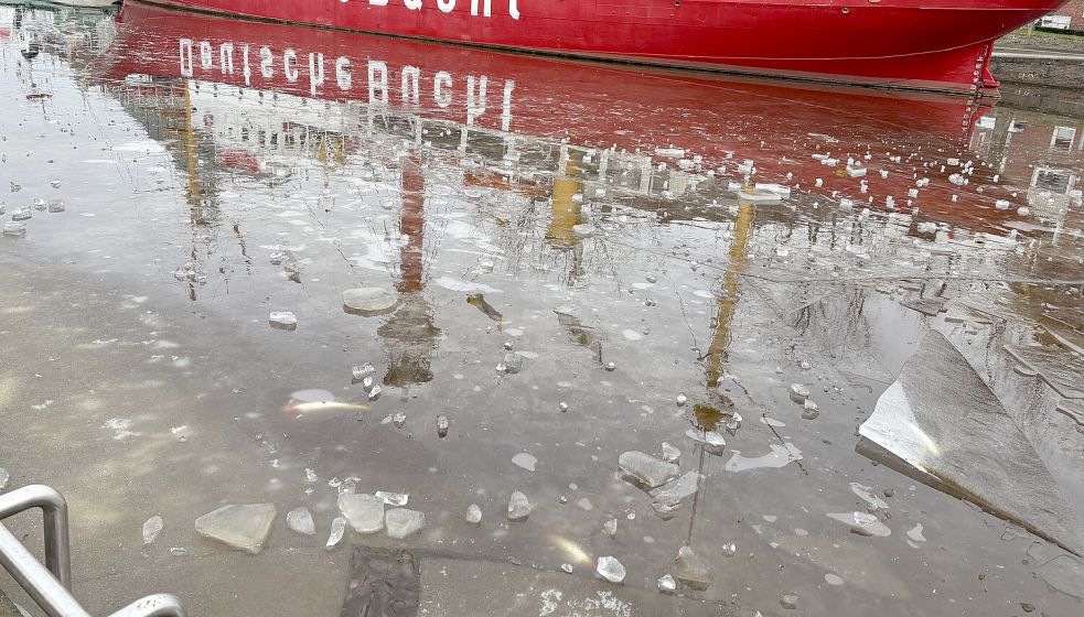 Zwei tote Fische sind gut sichtbar unter dem Eis an der Promenade gegenüber dem Feuerschiff. Fotos: Hanssen