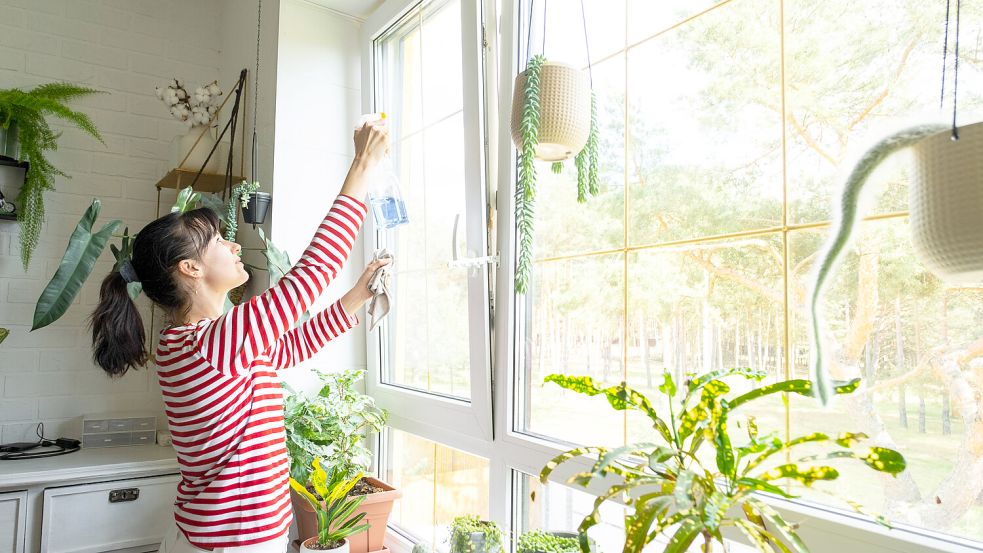 Im Frühjahr bringen viele Menschen ihre eigenen vier Wände wieder auf Hochglanz. Für das Fensterputzen hat die schnellste Fensterputzerin der Welt Empfehlungen parat. Foto: IMAGO/Zoonar