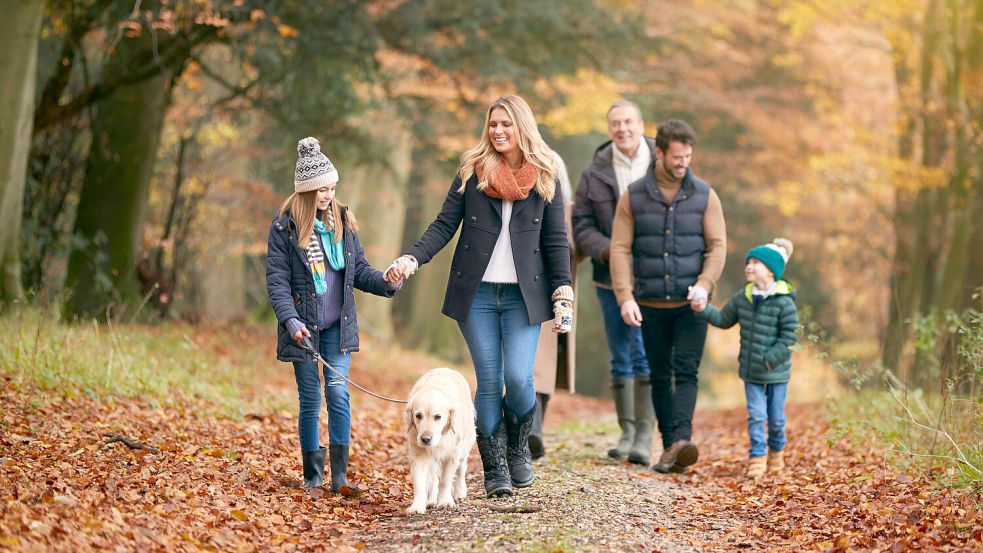Der Hund zählt zu den beliebtesten Haustieren und gehört einfach zur Familie mit dazu. Umso schwerer ist es also für die meisten Besitzer zu ertragen, wenn sie sich für immer verabschieden müssen. Foto: IMAGO/Shotshop