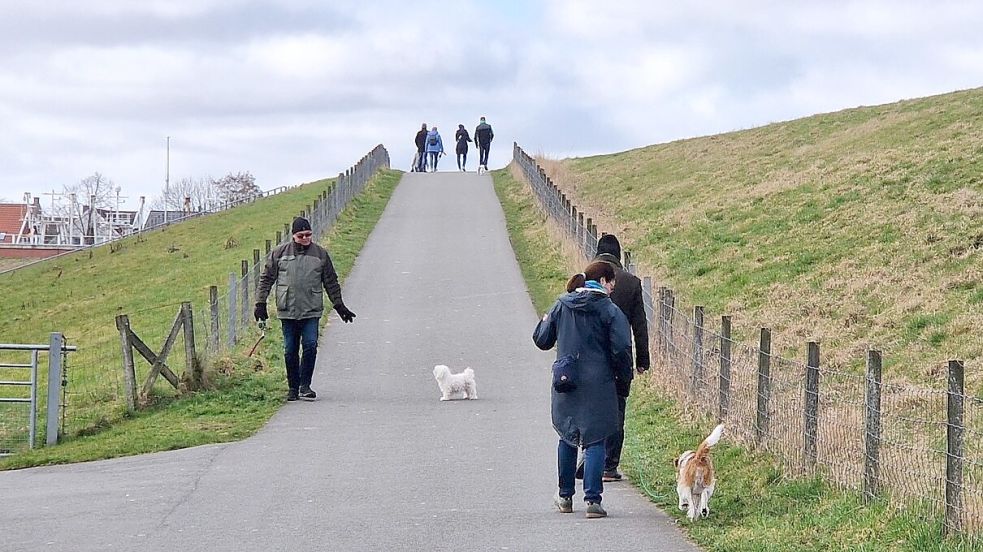 Außerhalb der Fremdenverkehrssaison lockt Ditzum nicht nur zum Jahreswechsel zahlreiche Gäste an. Viele kommen auch während der Karnevalszeit, um dem Trubel zu entfliehen. Foto: Gettkowski