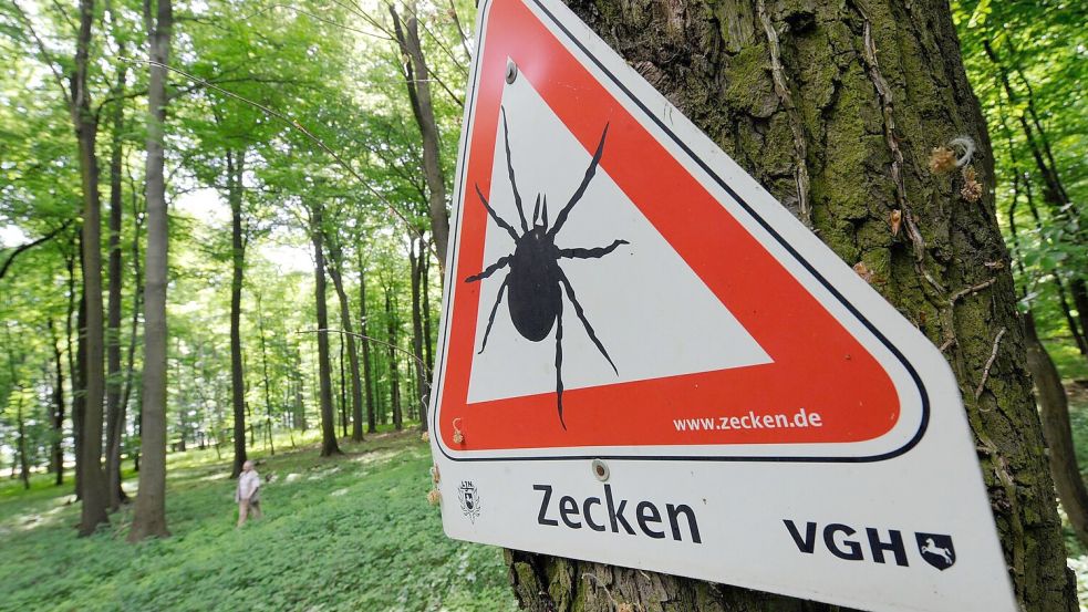Zahlreiche Gebiete in Deutschland sind FSME-Risikogebiete. (Archivbild) Foto: Holger Hollemann/dpa