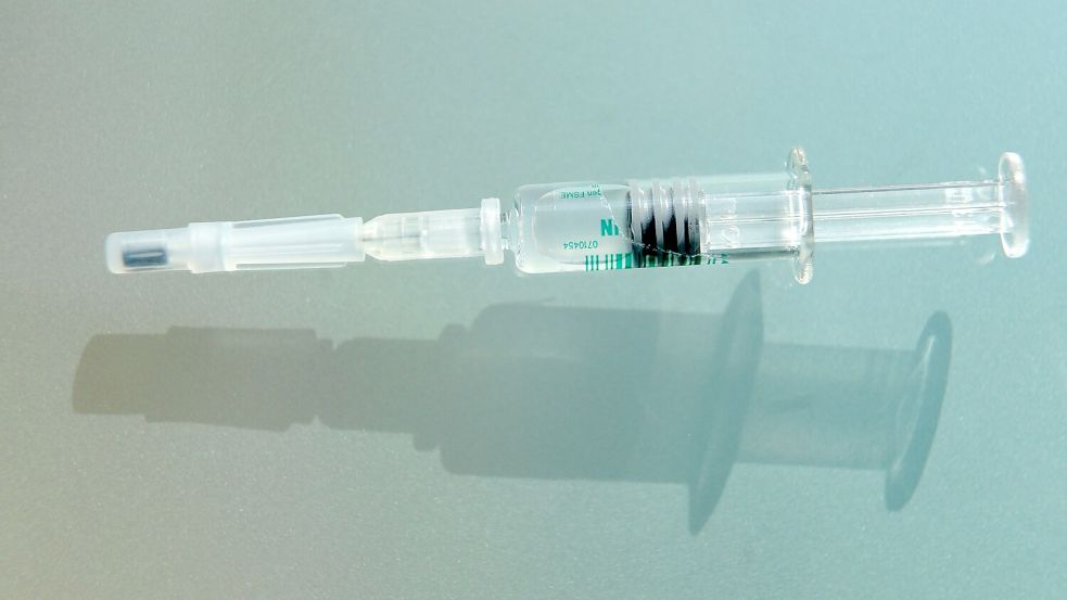 Gegen FSME-Viren kann geimpft werden, gegen Lyme-Borrelien noch nicht. (Archivbild) Foto: picture alliance / dpa