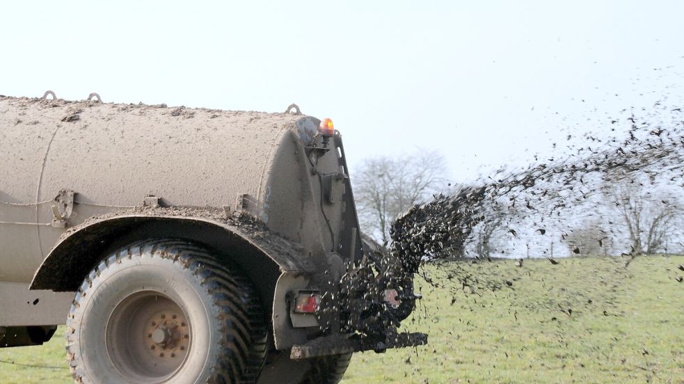 Pro Hektar Land dürfen 33 Kubikmeter Gülle ausgebracht werden. Foto: Pixabay