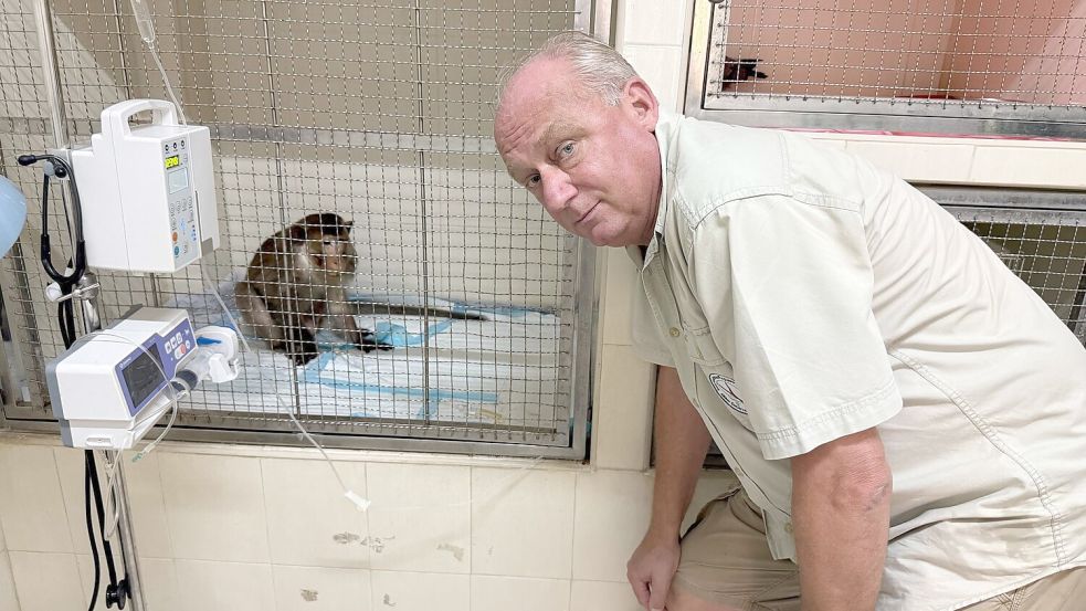WFFT-Gründer Edwin Wiek besucht einen der Patienten im Wildlife Hospital. Der Affe hatte einen Stromschlag erlitten. Foto: Carola Frentzen/dpa