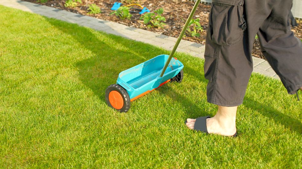Mit der richtigen Pflege im Frühling wird aus der strapazierten Rasenfläche schnell wieder ein gesunder, dichter Teppich. Foto: IMAGO/Panthermedia/Brebca
