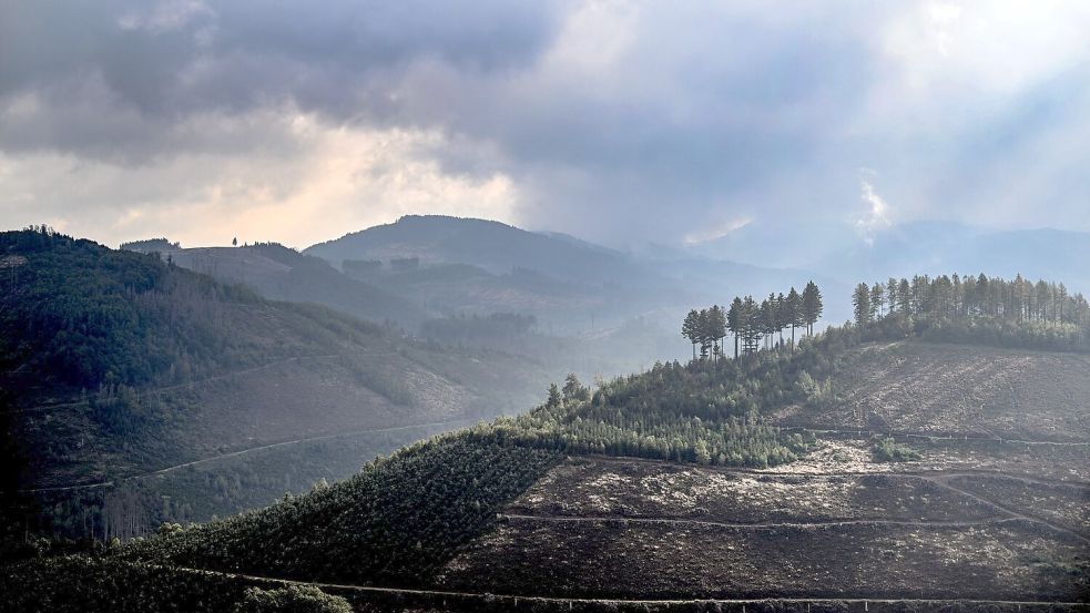 Das Sauerland ist besonders reich an Sagen und Legenden. Zu den mythischen Figuren der Region zählen die im Berg und unter der Erde lebenden „Hollen“ (Archivbild). Foto: Federico Gambarini/dpa
