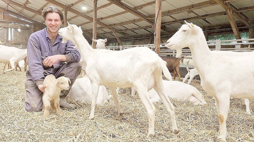 Leon de Kloet hat den Milchviehbetrieb seines Vaters Jos von Kühen auf Ziegen umgestellt – und es nicht bereut. Aus der Milch wird auf dem Hof Käse produziert. Foto: Gettkowski/Archiv