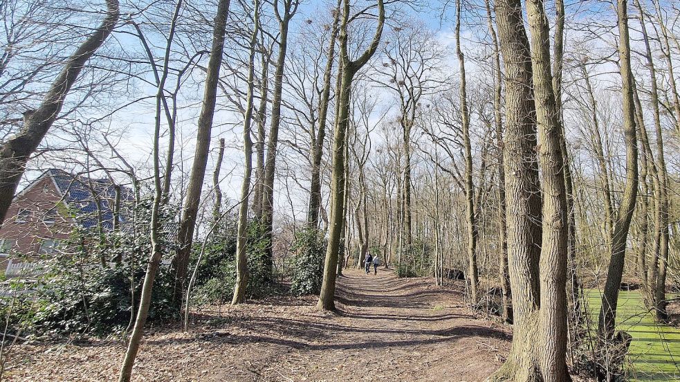 Durch die Natur spazieren kann man unter anderem im Stapelmoorer Park. Foto: Gettkowski