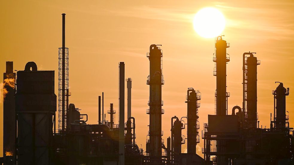 Erst im April 2024 hatten die Unternehmen den Kauf von 49 Prozent der Anteile durch BASF bekanntgegeben. (Symbolbild) Foto: Uwe Anspach/dpa