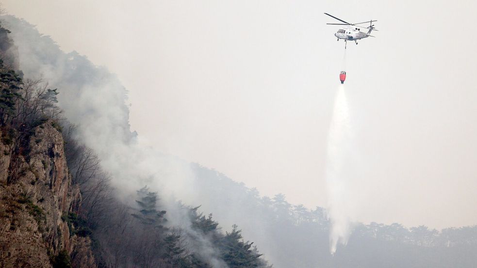 Es handelt sich um die größten Waldbrände in der Geschichte des Landes. Foto: Lee Moo-yeol/Newsis via AP)/dpa