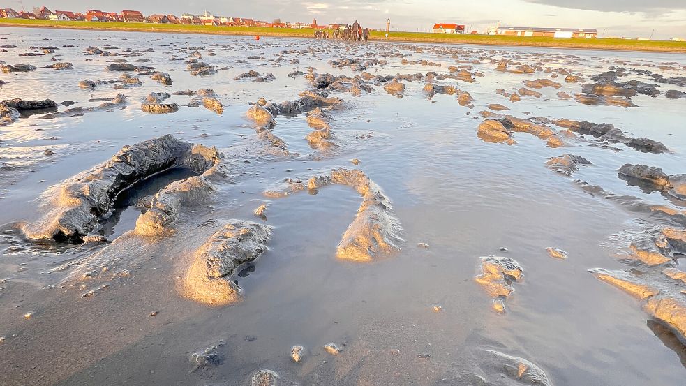 Vor über 2000 Jahren durch Ebbe und Flut geformt, war die Insel Juist schon früh ein Zufluchtsort für Seeleute und Fischer. Foto: Lars Wehrmann