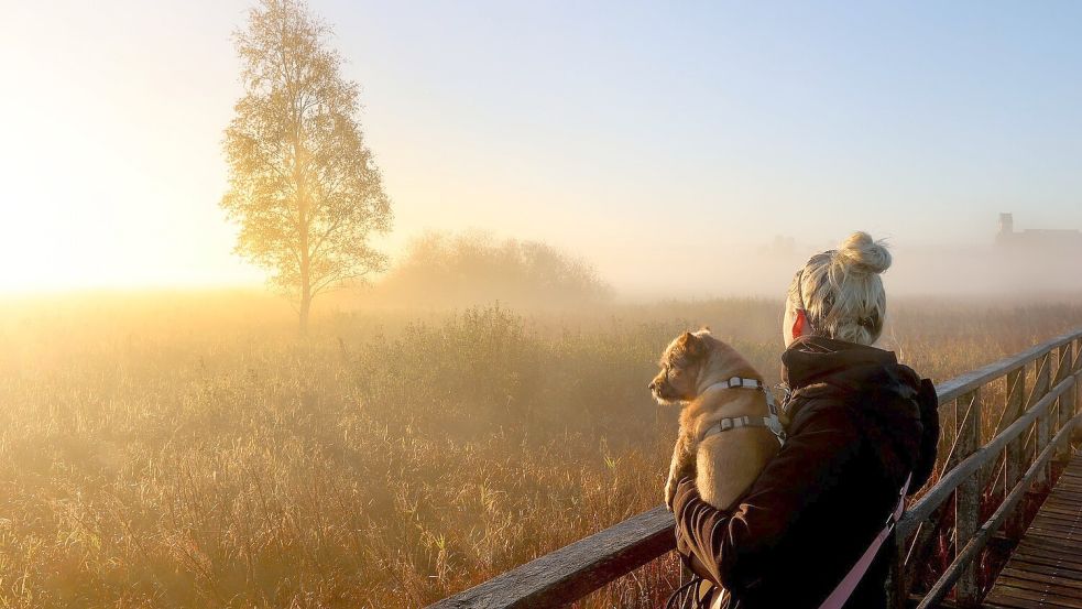 Der physiologische Tageszyklus des Menschen orientiert sich am Sonnenaufgang. (Archivbild) Foto: picture alliance/dpa