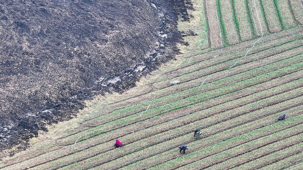 Die Waldbrände gelten als die mit Abstand schlimmsten in der Geschichte Südkoreas. Foto: Yoon Kwan-shik/Yonhap via AP/dpa
