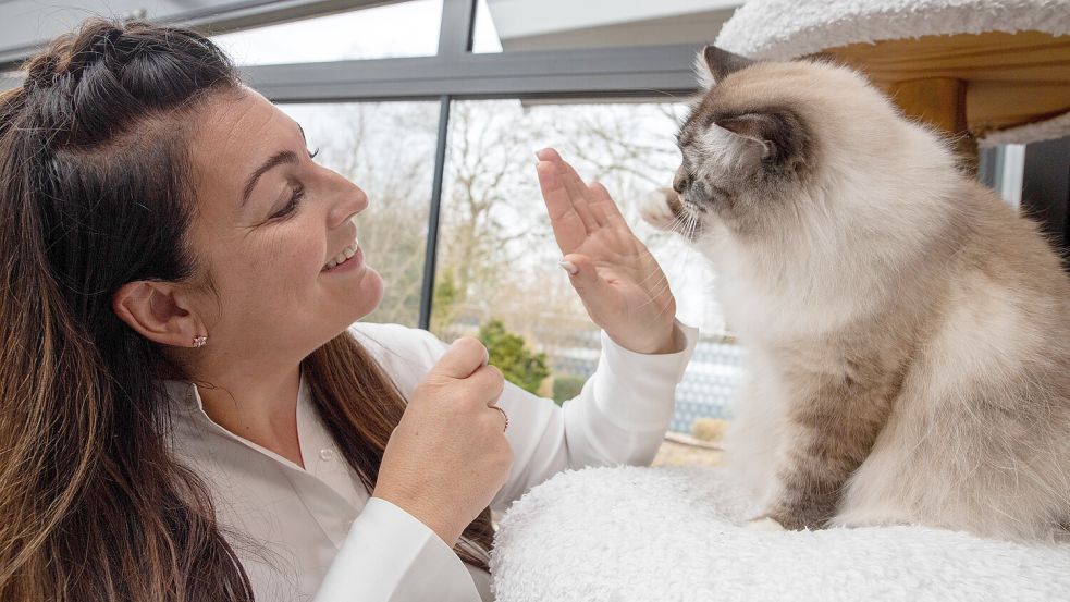Training gehört dazu. Tamme kann „High Five“. Foto: Ortgies