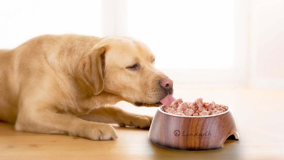 Innovative und nachhaltige Petfood-Produkte werden weltweit vertrieben.