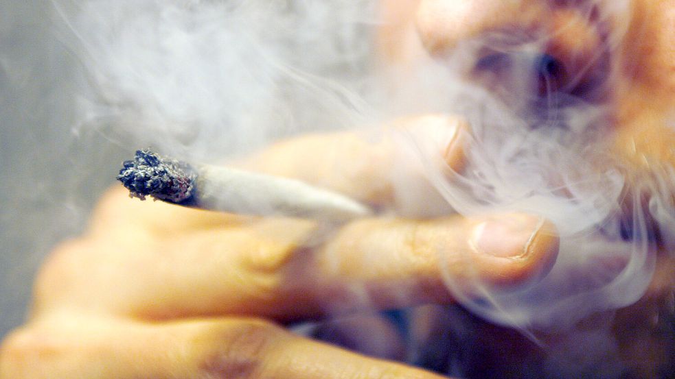 Mit der Cannabis-Legalisierung stellt sich die Frage: Welchen Einfluss hat Kiffen auf den Versicherungsschutz jenseits von Kfz-Policen? Foto: dpa/Daniel Karmann