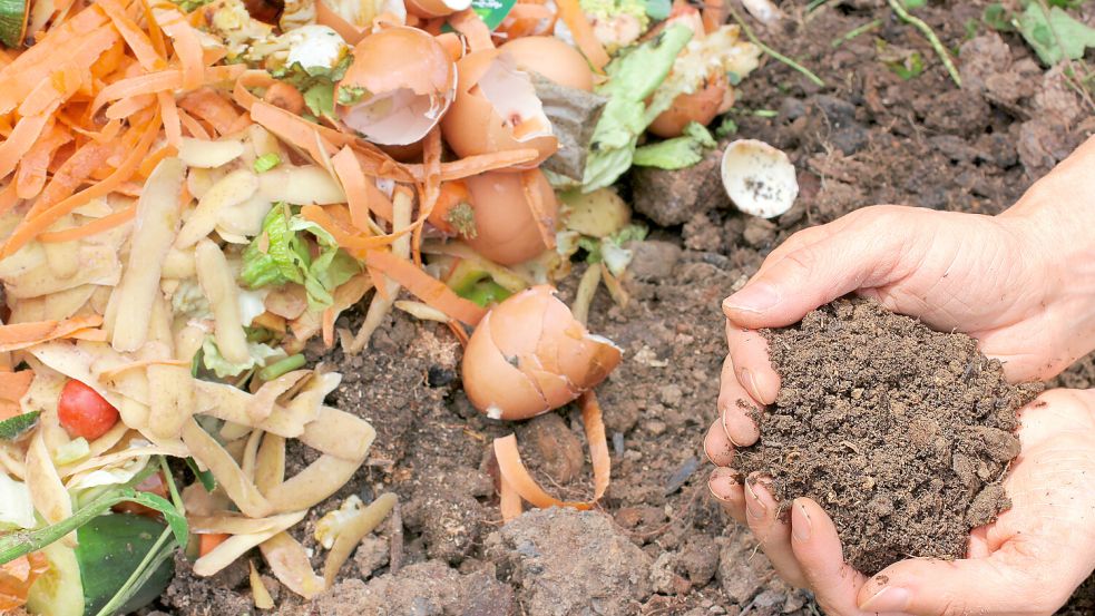 Durch das Kompostieren von Garten- und Küchenabfällen kann wertvoller Humus entstehen. Foto: IMAGO/Panthermedia