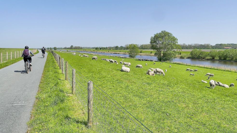 Gerne werden die Osterferien für eine Radtour in Ostfriesland genutzt. Foto: Ostfriesland.travel