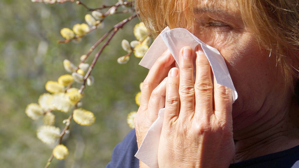 Während der Pollensaison haben es Allergiker nicht leicht: Die Augen jucken und tränen, die Nase läuft, der Gaumen kribbelt und die Lunge rasselt. Sind das Gründe für eine Krankschreibung? Foto: IMAGO/CHROMORANGE