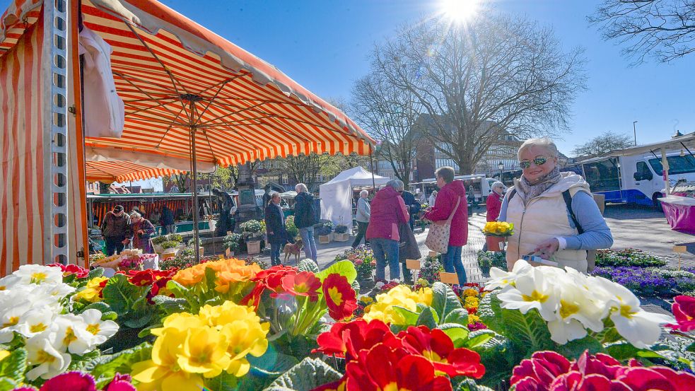 Sonne, Blumen und gute Stimmung im Stadtgarten: Der Wochenmarkt-Standort hier kommt gut bei den Kunden an. Foto: Ortgies